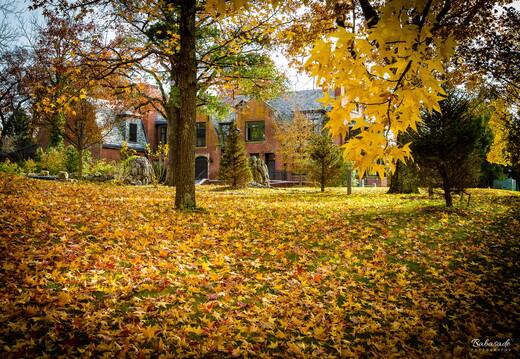 Ramapo College